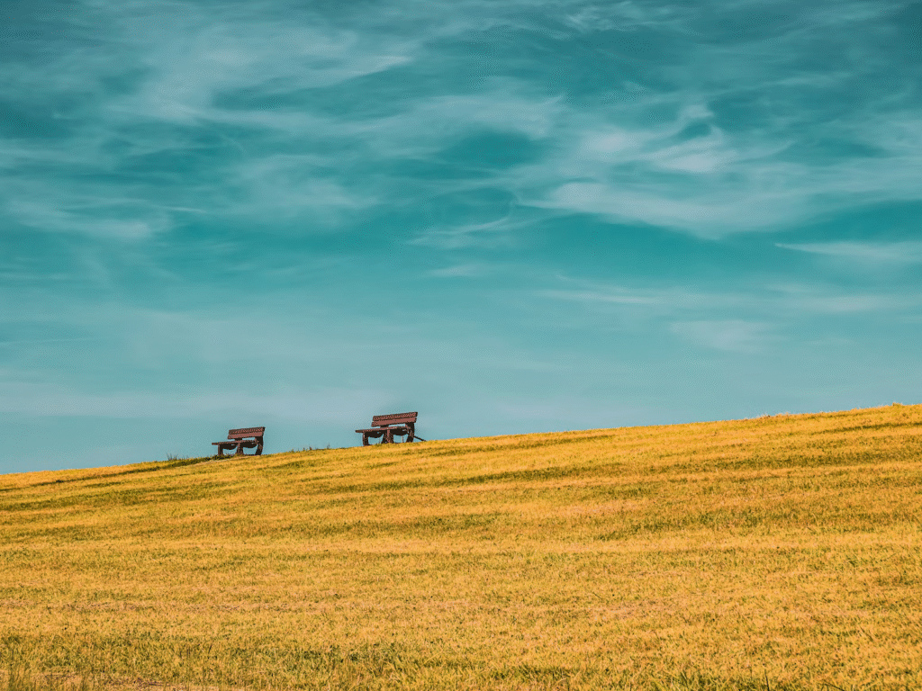 Green Flags in Relationships: How Healthy Connections Reveal Themselves Over Time