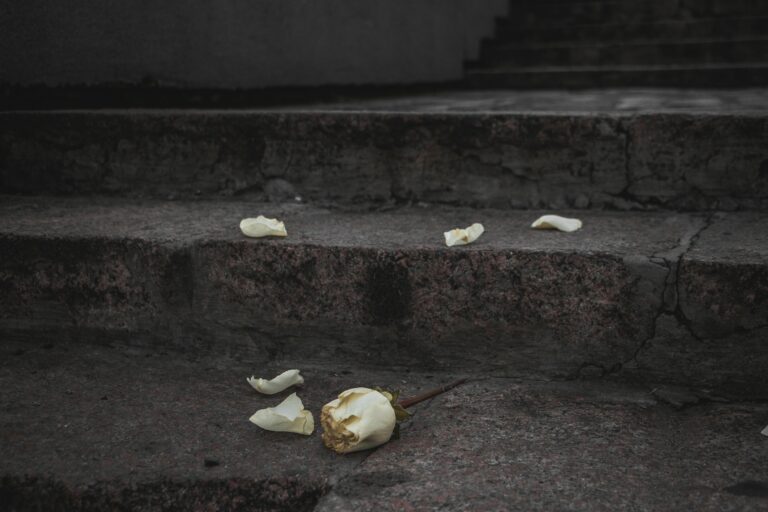 7 Clear Signs an Avoidant is Done With You (And How to Respond)