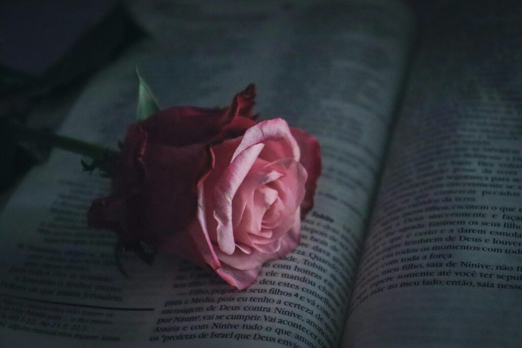 8 Things You Only Realize About Love After It Ends
