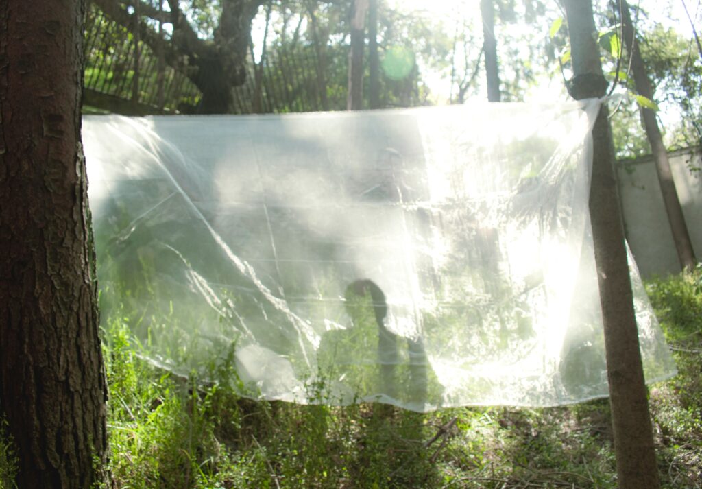 A blurry silhouette of a person behind a translucent white sheet hung between forest trees, dreaming of deceased relatives alive.