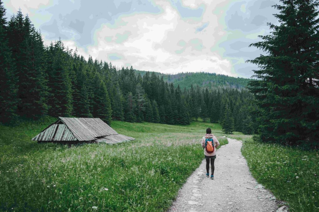 A hiker walking down a trail alone, moving on from right person wrong time to heal. 