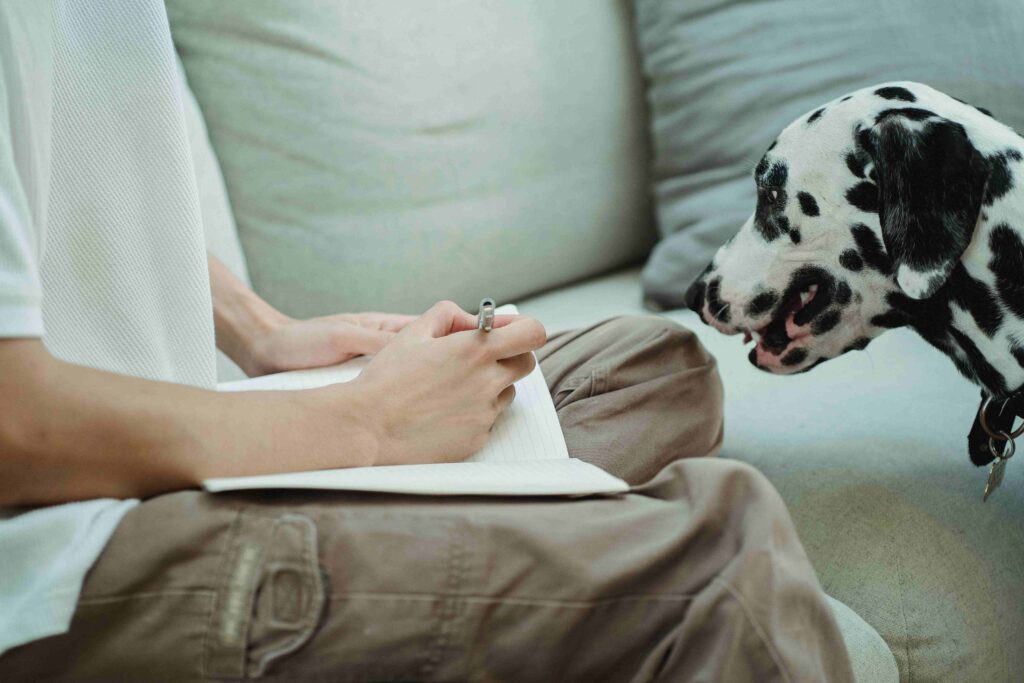 A person journaling on sofa next to a dalmatian dog coping with friendlessness peacefully. 